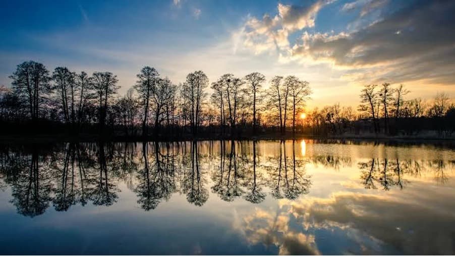 Symmetry: The Hidden Architect of Reality