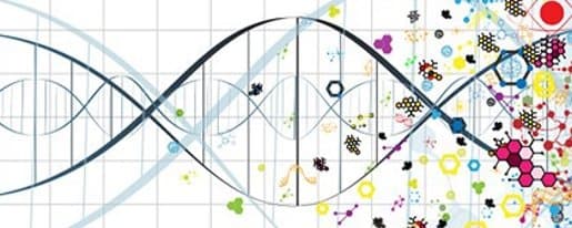 Predictability as a Strength: Why Ffellonics' Finiteness Matters