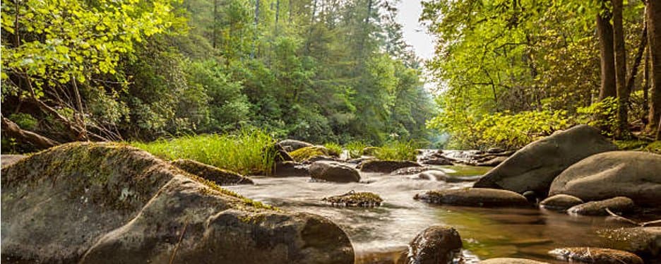 The Principle of Least Resistance: How Nature Moves Without Effort