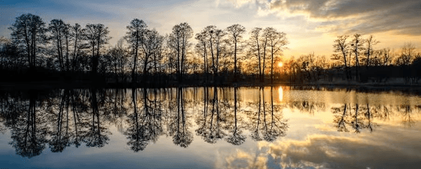 Why Ffellonics Mirrors Natural Development